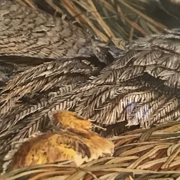 3D Mixed Media Vintage 1984 "Nesting Geese" by Lynn Bean Hand Cut Print Art - Picture 6 of 15